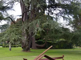 Arte en el jardín