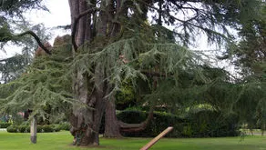 Arte en el jardín