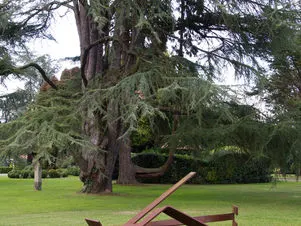 Arte en el jardín