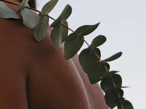 Las nuevas Fibras de la Moda y yo