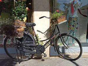 Bicis