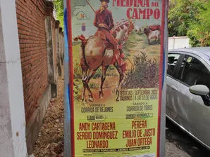 Toros