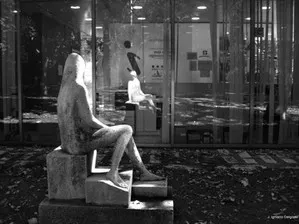 Narciso en la oficina