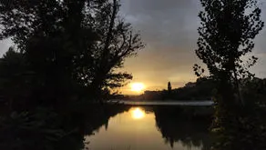 Adiós