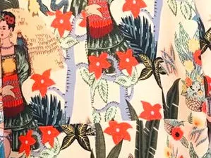 Hablando de Frida
