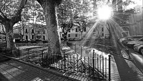 Sol de otoño