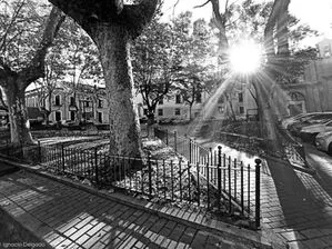 Sol de otoño