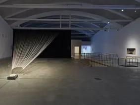 Extinción Remota 