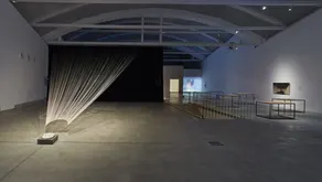 Extinción Remota 