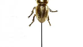 El escarabajo