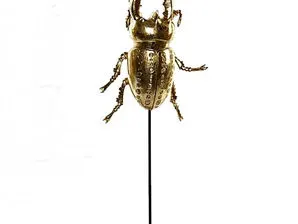 El escarabajo